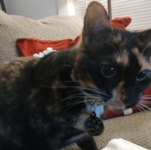 Meet your Posher, Cheryl